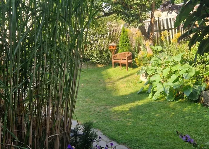 Sethmacher Stube * Bad Gottleuba